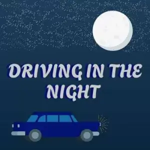 Driving In The Night