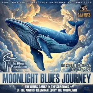 Moonlight Blues Journey