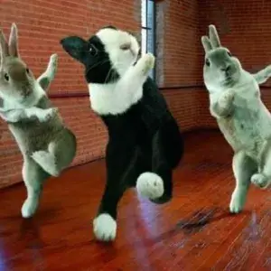 Танцевальные хиты Vol.2 (MP3)